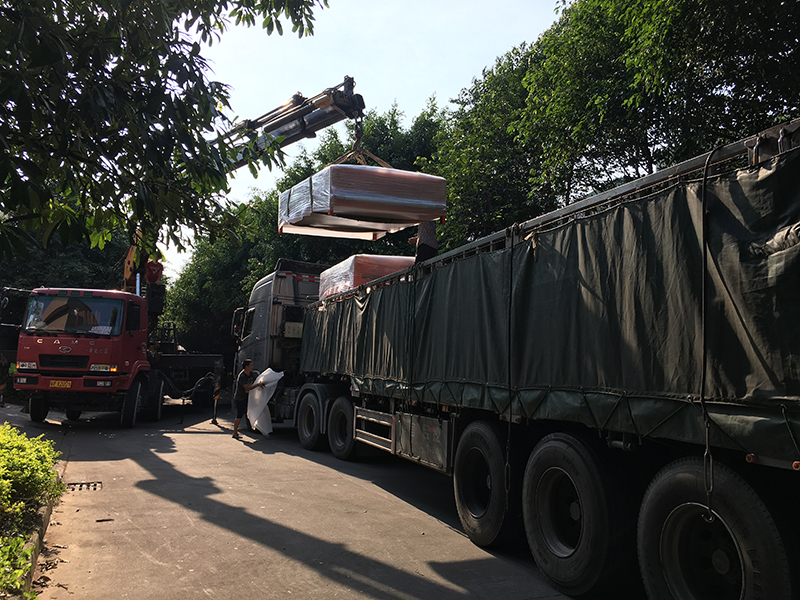 IMG_1231(800).jpg IMG_1231(800).jpg